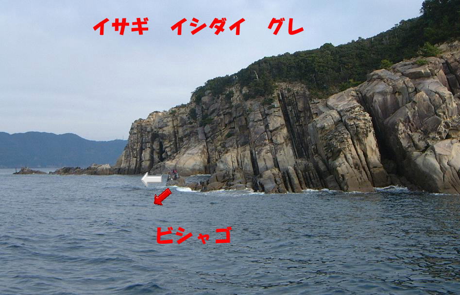 �r�V���S