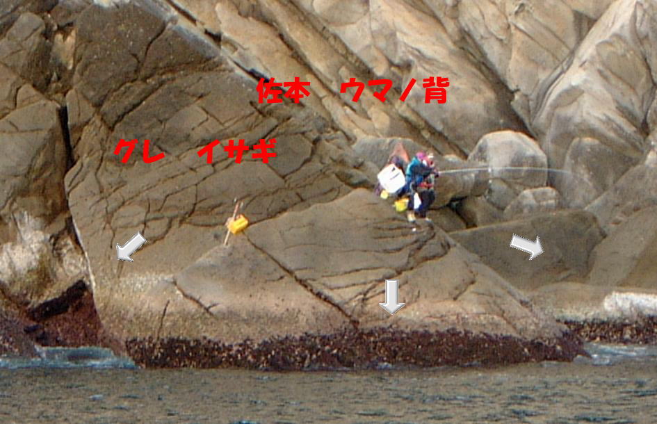 ���{�@�E�}�m�w