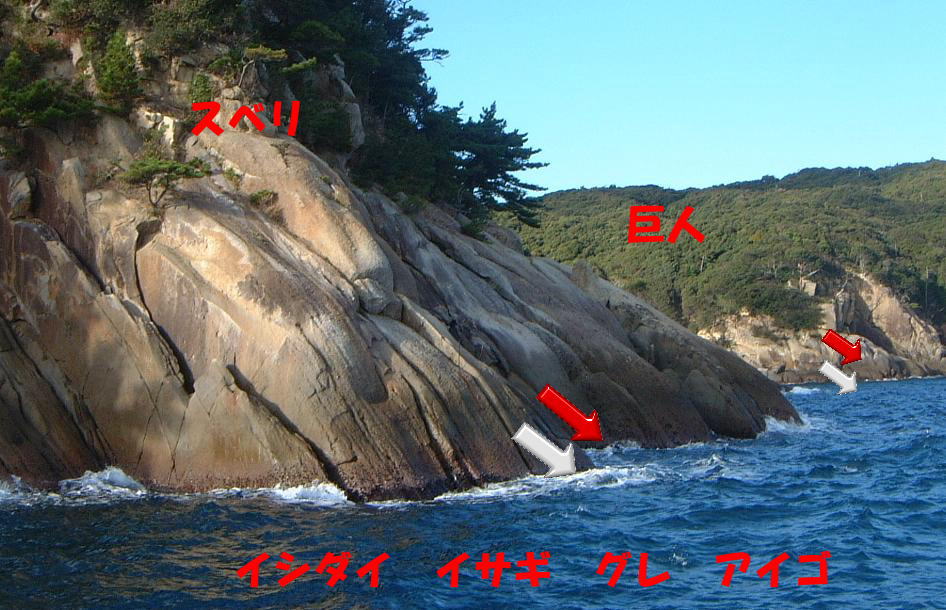 �X�x���E���l