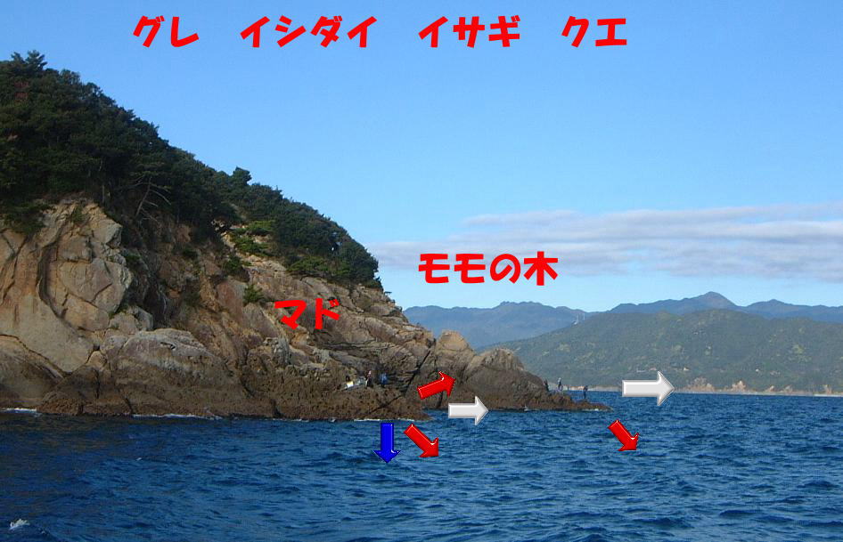 �}�h�E�����̖�